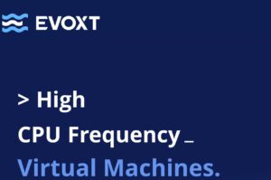 evoxt 日本vps 优质线路银软线路 三网流畅 大阪属地可tiktok